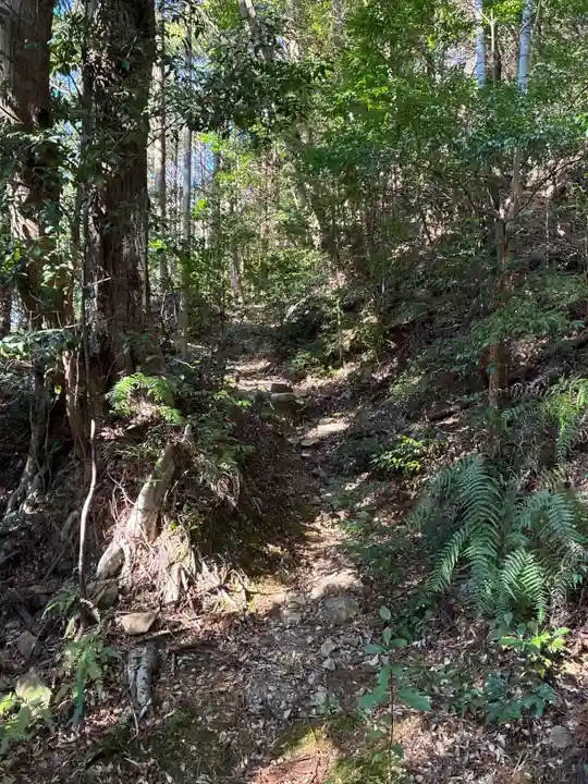 泰仙寺(徳島県)