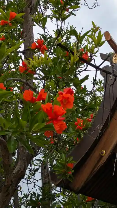 福崎住吉神社(大阪府)