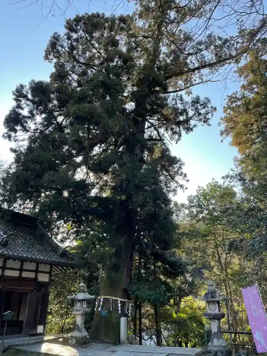 石山寺(滋賀県)