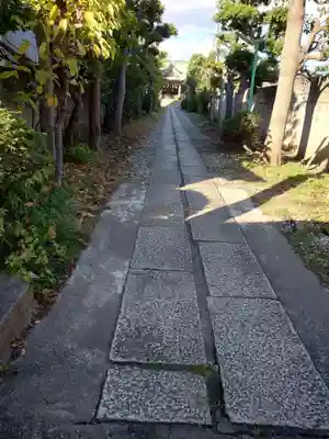 白髭神社(東京都)