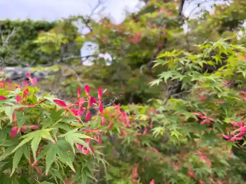 法隆寺(奈良県)