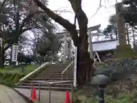 高岡市護国神社の自然