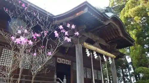 豊景神社の本殿