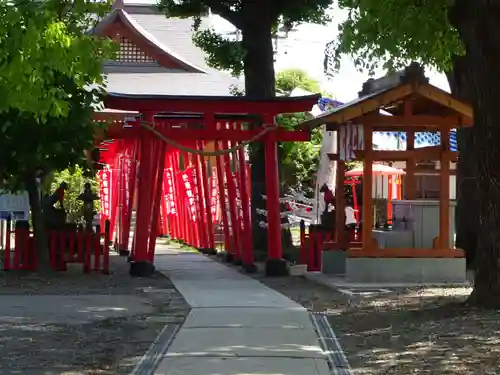 於菊稲荷神社の鳥居