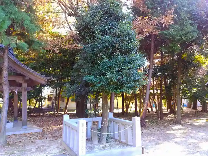 若宮八幡社の自然