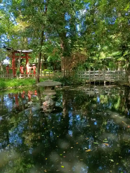 調神社の{uncategorized: "未分類", other: "その他", undefined: "問題あり", building: "その他建物", grave: "お墓", sacred_gate: "鳥居", guardian: "狛犬", statue: "像", buddha: "仏像", history: "歴史", nature: "自然", garden: "庭園", animal: "動物", pagoda: "塔", temizu: "手水舎", mountain_gate: "山門・神門", sanctuary: "本殿・本堂", subordinate: "末社・摂社", art: "芸術", scenery: "景色", jizo: "地蔵", ema: "絵馬", goshuin: "御朱印", omikuji: "おみくじ", items: "授与品その他", amulet: "お守り", goshuincho: "御朱印帳", eats: "食事", festival: "お祭り", votive_dance: "神楽", shichigosan: "七五三参", wedding: "結婚式", experience: "体験その他", initially: "初詣", around: "周辺", anti_infection: "感染症対策"}