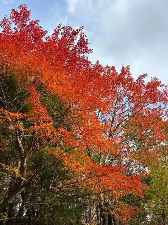 劔山本宮宝蔵石神社(徳島県)