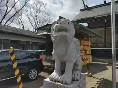 櫻岡大神宮の狛犬
