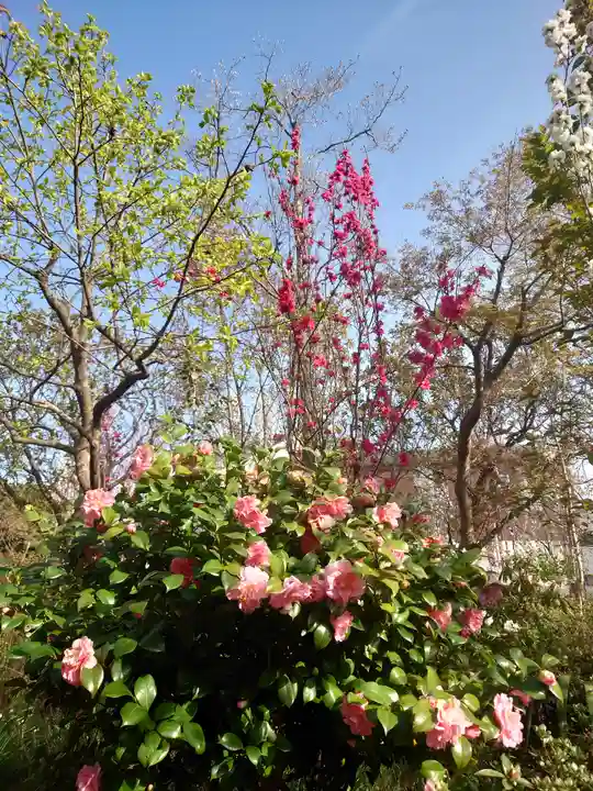 常泉寺(神奈川県)