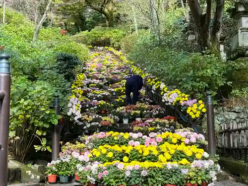 長谷寺(奈良県)