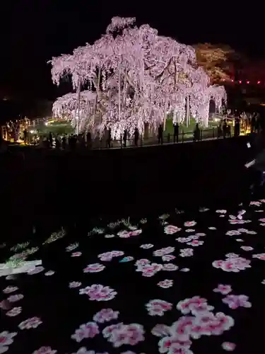 瀧桜神明宮の自然