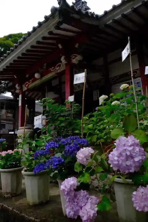 三ヶ根観音(太山寺)(愛知県)