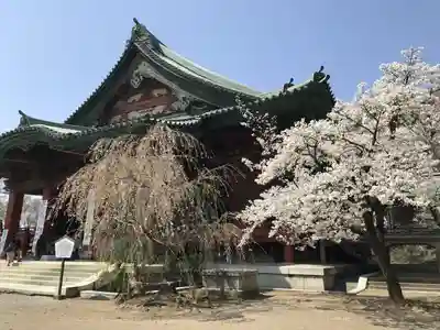 大光院 新田寺の本殿・本堂