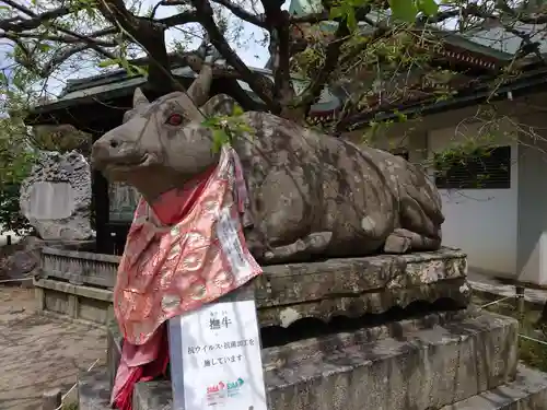 北野天満宮の狛犬