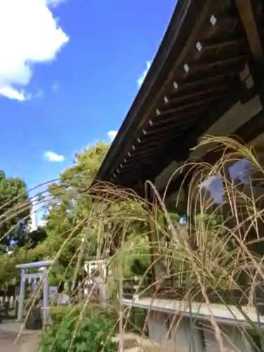 鳩森八幡神社(東京都)