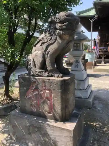 胡録神社の狛犬