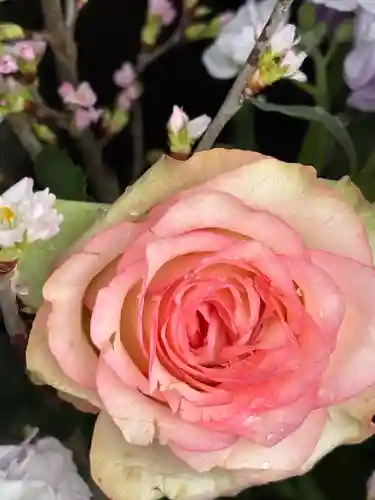 上尾御嶽神社の手水舎