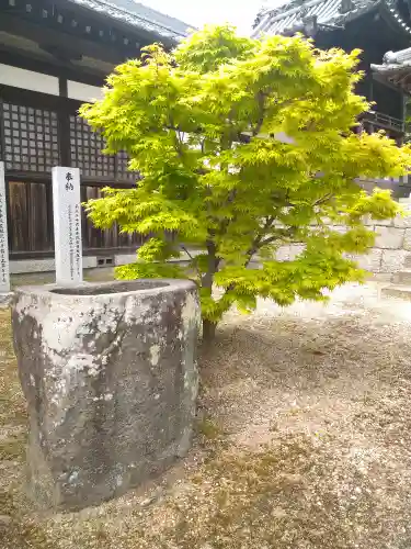 柏島神社の手水舎
