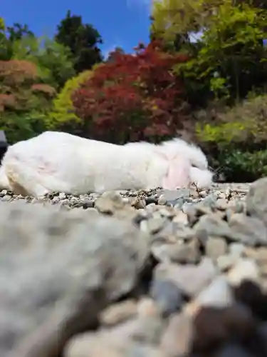 西照神社(徳島県)