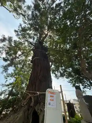 大國魂神社(福島県)