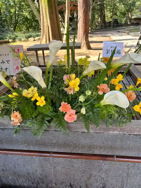 武蔵一宮氷川神社(埼玉県)