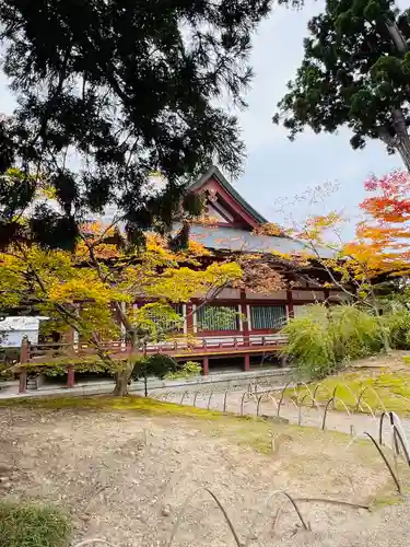毛越寺(岩手県)