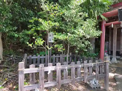 小名浜諏訪神社のその他建物