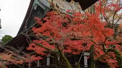 真正極楽寺(真如堂)(京都府)