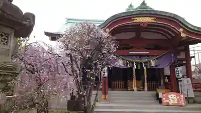 千住神社の本殿・本堂