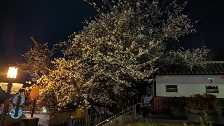 高台寺(高台寿聖禅寺・高臺寺)(京都府)