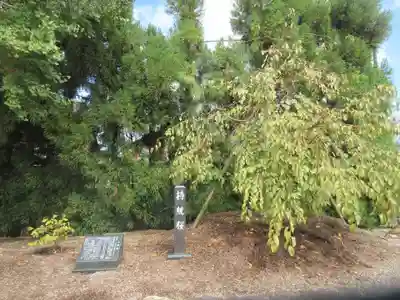 薬師寺(奈良県)