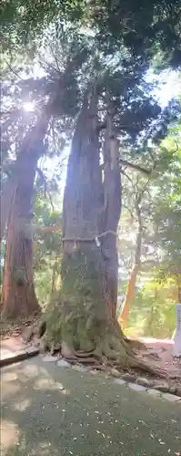 白山比咩神社(石川県)