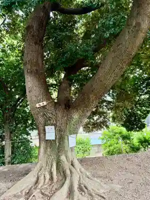 熊野三社(岩手県)