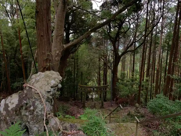 北辰神社の鳥居