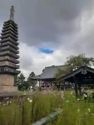 般若寺 ❁﻿コスモス寺❁(奈良県)