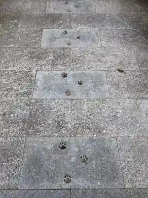 お松大権現(徳島県)