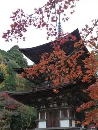 金剛輪寺の塔