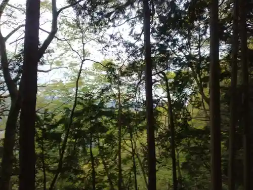 冨士浅間神社(東京都)
