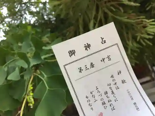 西堤神社のおみくじ