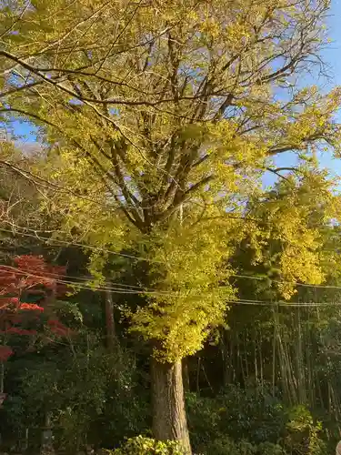 蛇苦止明神（蛇苦止堂）の自然