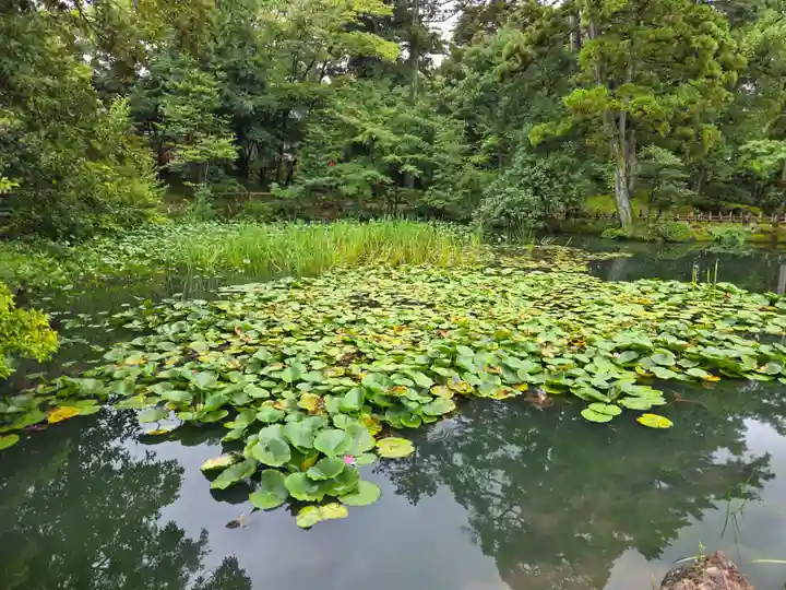 金澤神社(石川県)