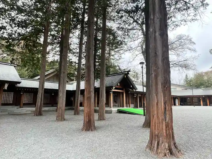 北海道神宮(北海道)