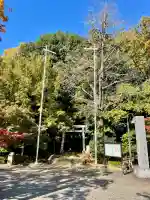 茅ヶ崎杉山神社(神奈川県)