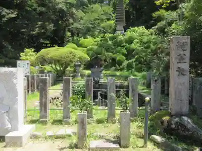 岡寺(龍蓋寺)(奈良県)