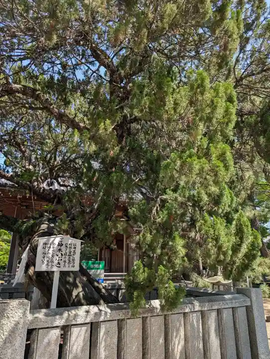高砂神社(兵庫県)