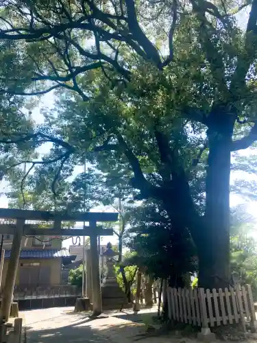 大神神社（花池）(愛知県)