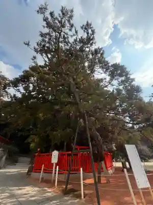 香椎宮の{uncategorized: "未分類", other: "その他", undefined: "問題あり", building: "その他建物", grave: "お墓", sacred_gate: "鳥居", guardian: "狛犬", statue: "像", buddha: "仏像", history: "歴史", nature: "自然", garden: "庭園", animal: "動物", pagoda: "塔", temizu: "手水舎", mountain_gate: "山門・神門", sanctuary: "本殿・本堂", subordinate: "末社・摂社", art: "芸術", scenery: "景色", jizo: "地蔵", ema: "絵馬", goshuin: "御朱印", omikuji: "おみくじ", items: "授与品その他", amulet: "お守り", goshuincho: "御朱印帳", eats: "食事", festival: "お祭り", votive_dance: "神楽", shichigosan: "七五三参", wedding: "結婚式", experience: "体験その他", initially: "初詣", around: "周辺", anti_infection: "感染症対策"}