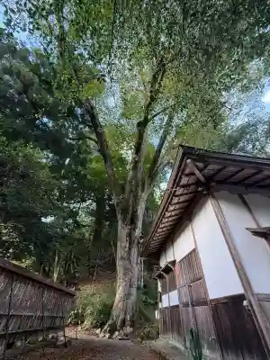 丹生川上神社（下社）(奈良県)