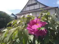 雨竜 専福寺(北海道)