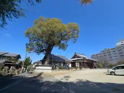 福徳寺(大阪府)